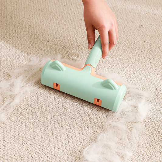Cat Hair Removal Artifact
