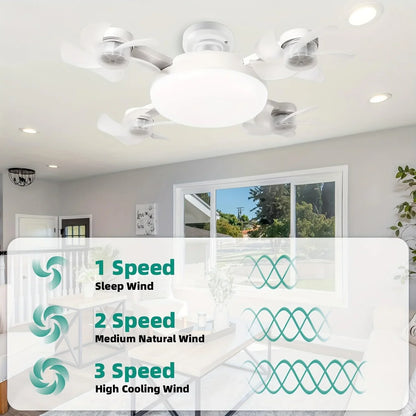 Ceiling Fan Light