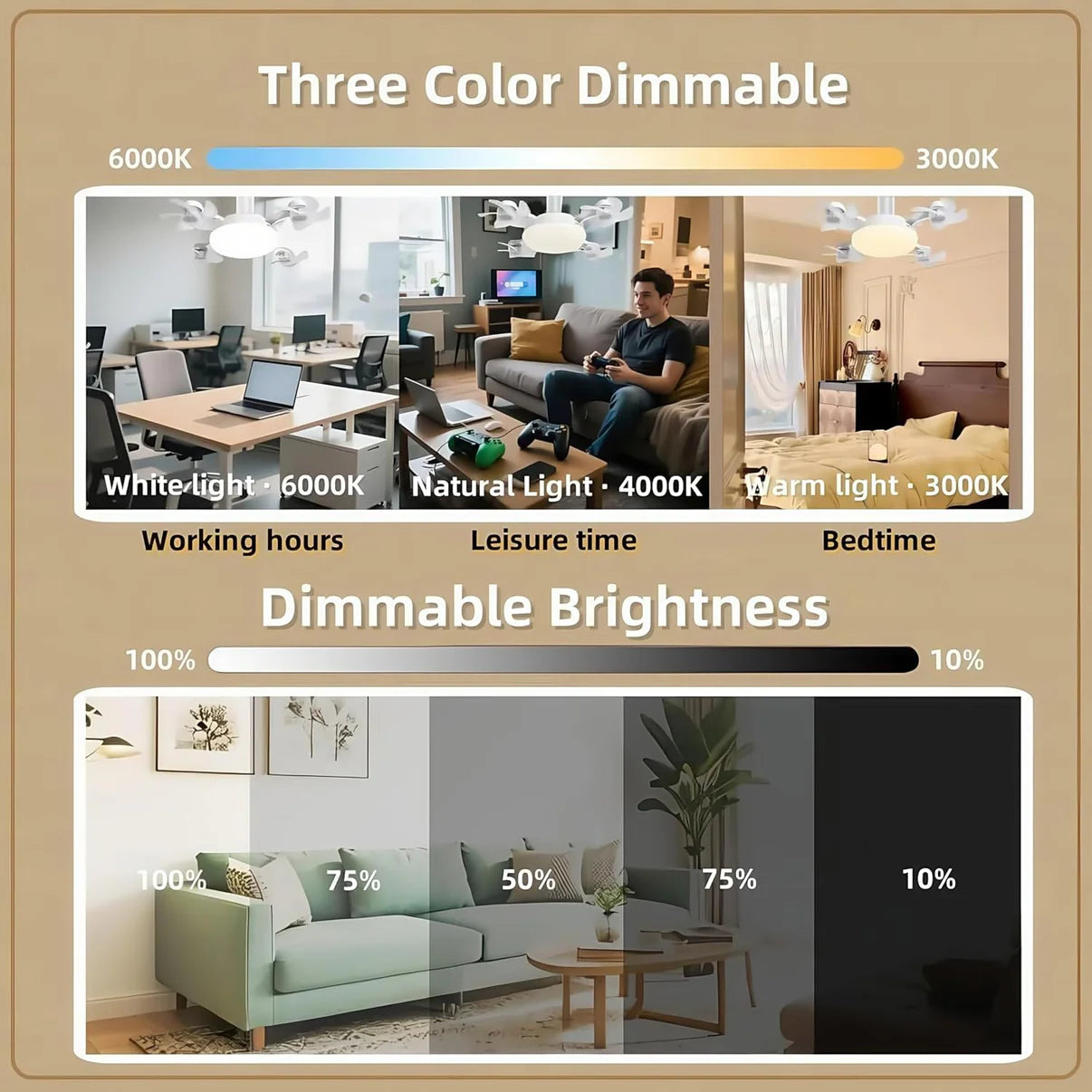 Ceiling Fan Light