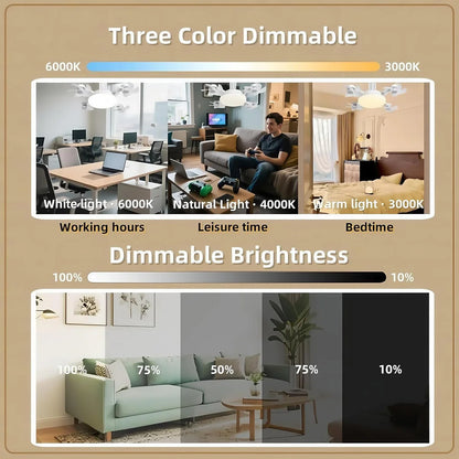 Ceiling Fan Light