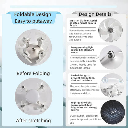 Ceiling Fan Light