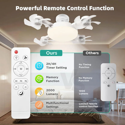 Ceiling Fan Light