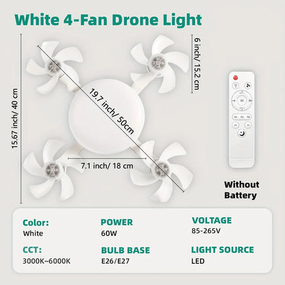Ceiling Fan Light