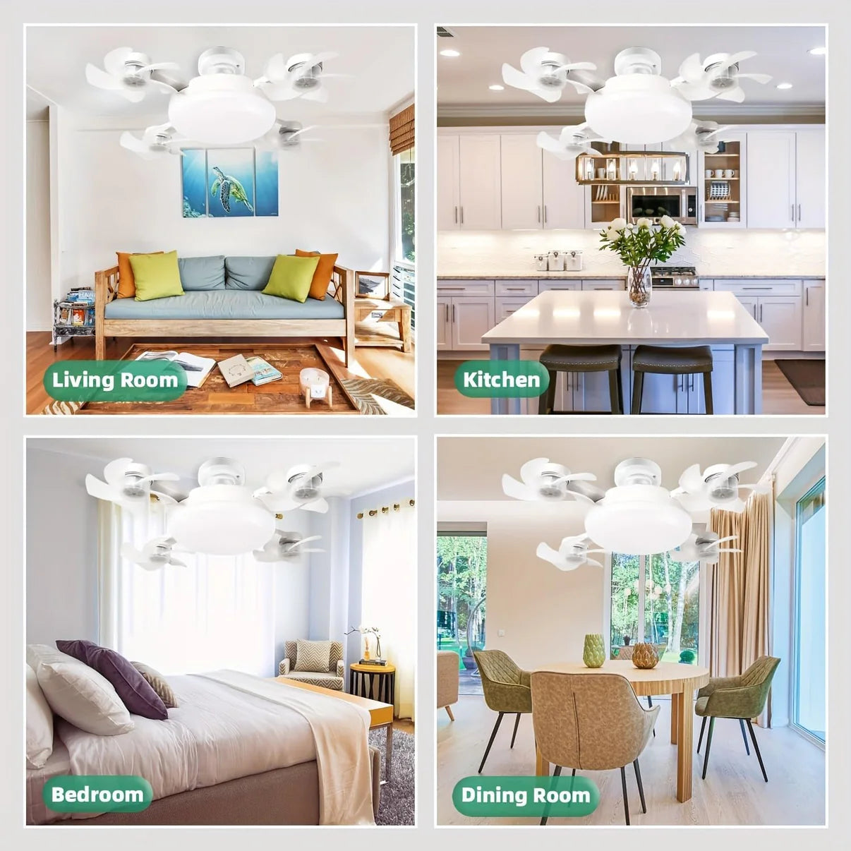 Ceiling Fan Light