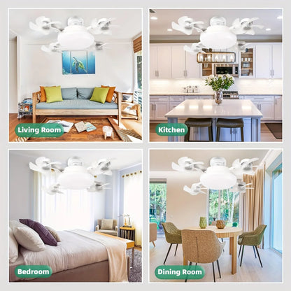 Ceiling Fan Light