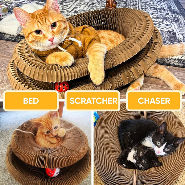 Jessica P. review photo